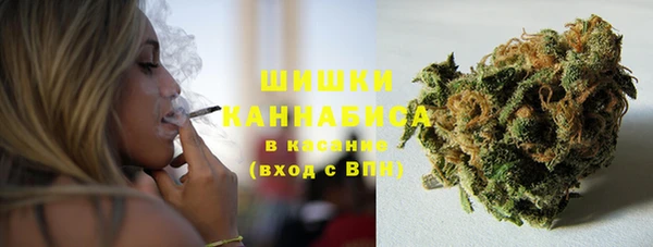 гидра Няндома