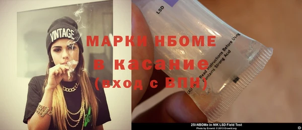 гидра Няндома