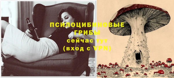 гидра Няндома