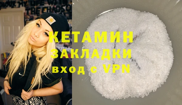 гидра Няндома