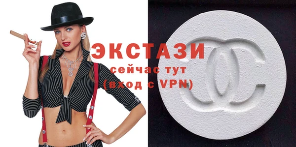 гидра Няндома