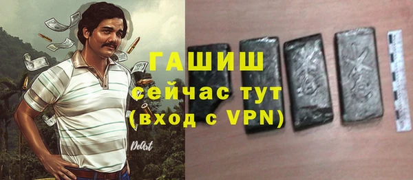 гидра Няндома