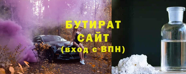 гидра Няндома