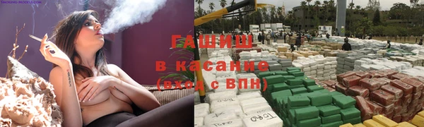 гидра Няндома