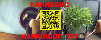 jwh Дубна