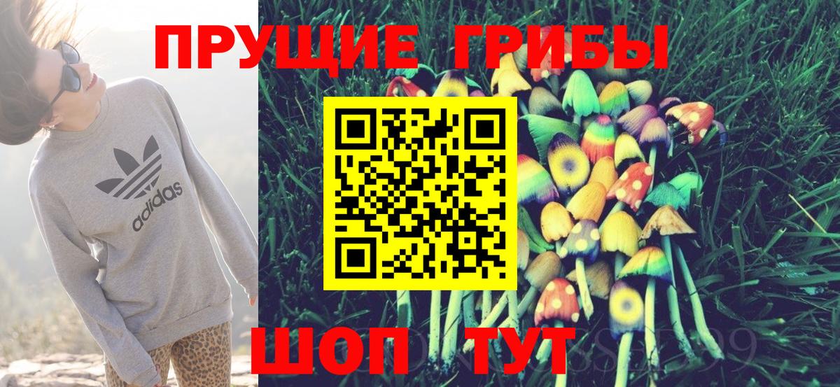 Галлюциногенные грибы Psilocybine cubensis  Вход с VPN  Мурино  Галлюциногенные грибы ЛСД 