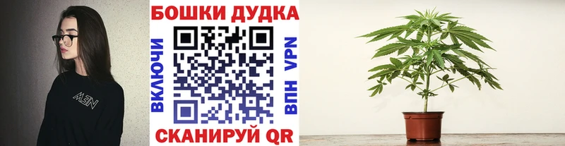 Канабис White Widow Мурино