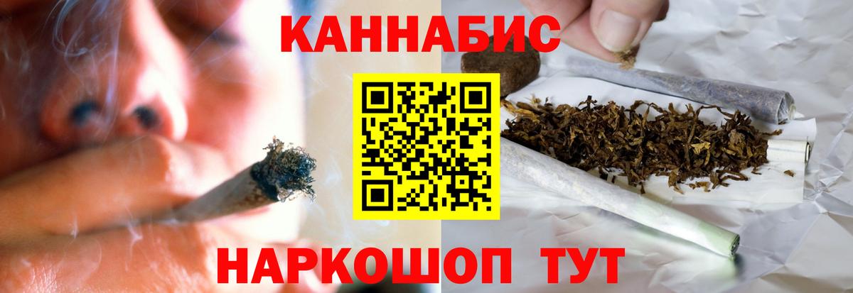 Бошки Шишки план Мурино